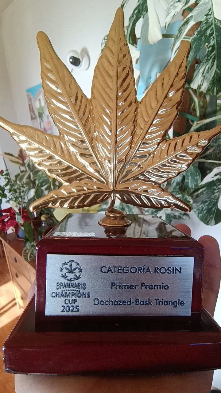 Dochazed’s award-winning hash rosin beside the Spannabis 2025 Champions Cup trophy