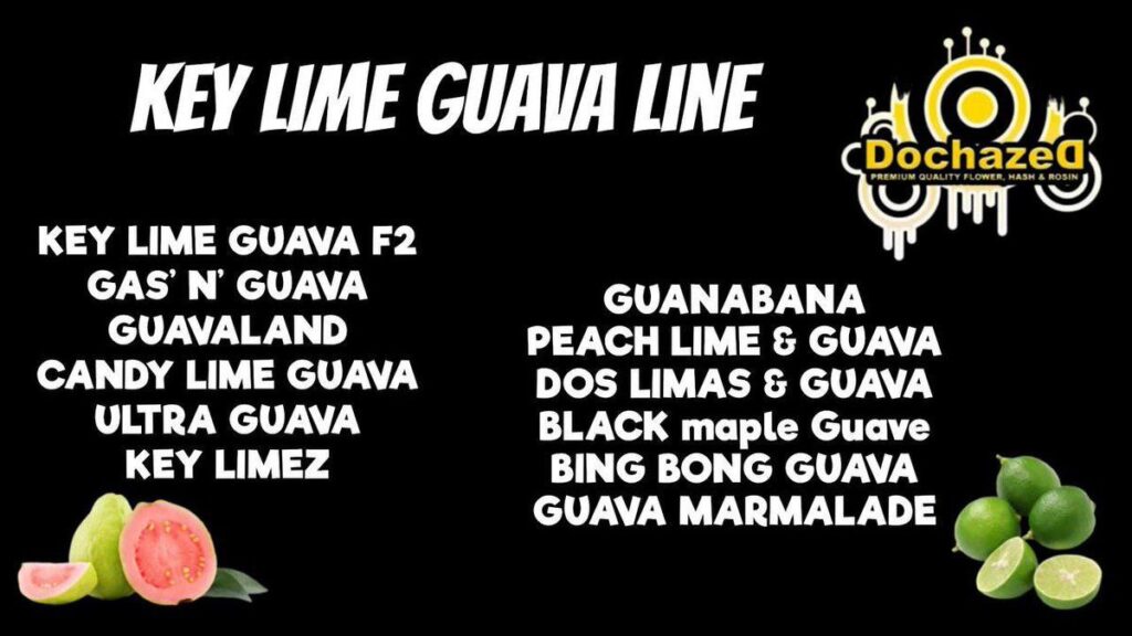 Promotional graphic for Dochazed’s Key Lime Guava Line featuring strain names and tropical fruit imagery